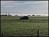 IMG_0324.JPG
